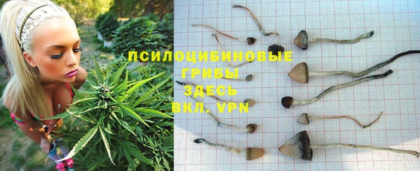 гашиш Володарск