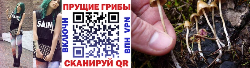 Галлюциногенные грибы Cubensis  Купить закладки  Дно 